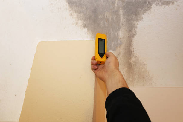 Biohazard Mold Removal in Springs, NY