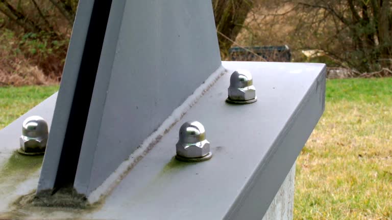 Best Mold Documentation for Insurance Claims  in Springs, NY